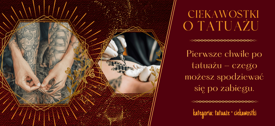 Pierwsze chwile po tatuażu objawy normalne i niepożądane - PROPAGANDA TATTOO & PIERCING | Studio tatuażu i piercingu Poznań. Tatuaże artystyczne, dobre studio, najlepsze studio w Poznaniu. Tatuaże realistyczne, realistyka, oldschool, cartoon, dotwork, sketch. Tatuaże portrety realistyczne, zwierzęta, kolorowe tatuaże.