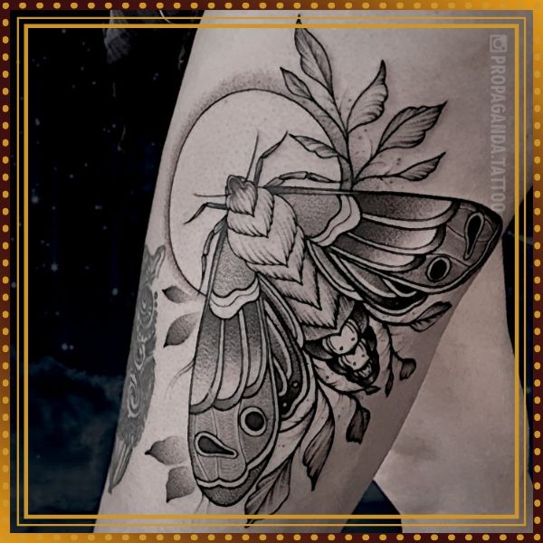 Ćma / ćmy - motywy tatuażu, wzory tatuażu, projekty tatuażu, galeria motywów, galeria tatuaży, portfolio. Studio Tatuażu i Piercingu Poznań