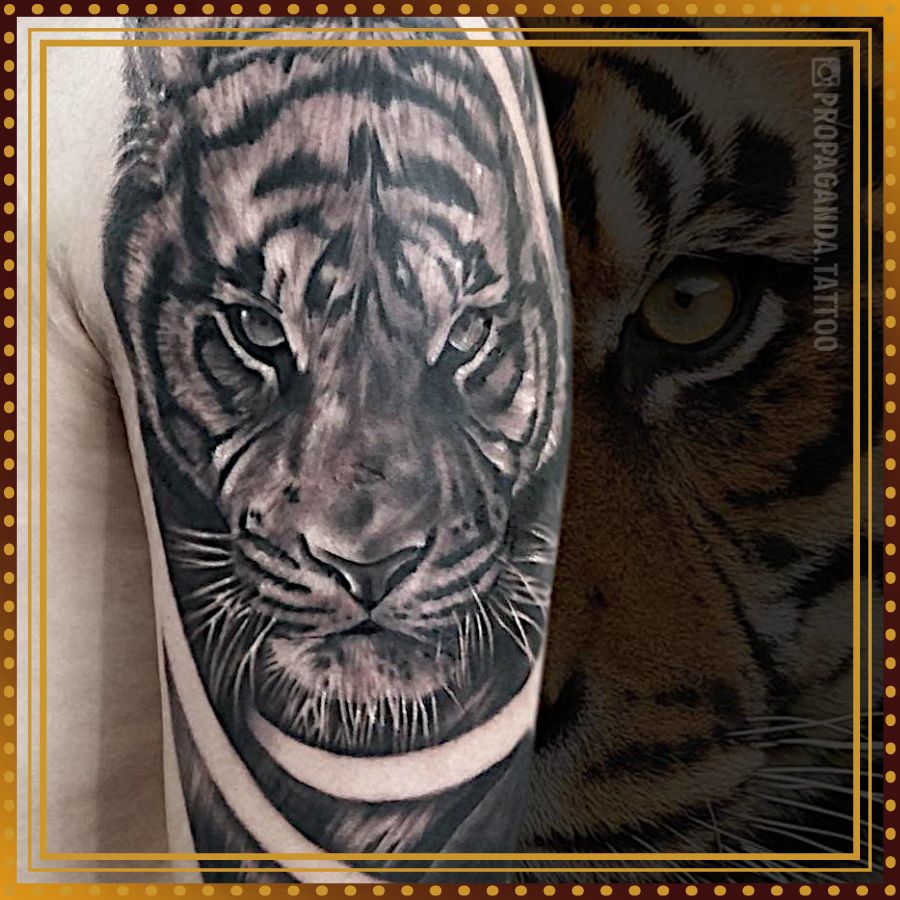 Tygrys / tygrysy / tygrysek - motywy tatuażu, wzory tatuażu, projekty tatuażu, galeria motywów, galeria tatuaży, portfolio. Studio Tatuażu i Piercingu Poznań