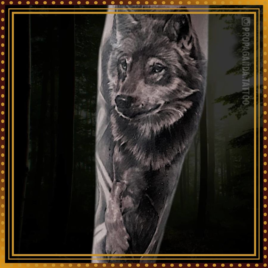 Wilk / wilki / wilczek - motywy tatuażu, wzory tatuażu, projekty tatuażu, galeria motywów, galeria tatuaży, portfolio. Studio Tatuażu i Piercingu Poznań